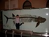 BestOf2001_113_011227009.jpg