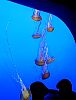BestOf2001_38_010702053.jpg