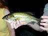 CampingJune2001_42_010609083.jpg