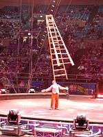 020323026_7.jpg