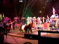 020323042_10.jpg