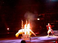 020323064_14.jpg
