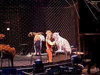 020323078_19.jpg
