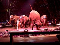 020323091_23.jpg