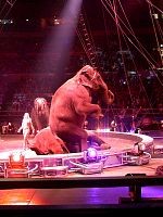 020323094_24.jpg